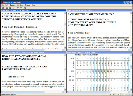 Professional Numerologist Screenshot